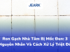 Ron Gạch Nhà Tắm Bị Mốc Đen: 3 Nguyên Nhân & Cách Xử Lý