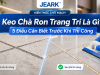 Keo Chà Ron Trang Trí Là Gì? 5 Điều Cần Biết Trước Khi Thi Công
